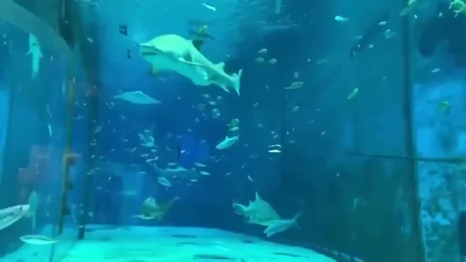 BWD7减速机齿轮箱BWD7-59-22-15kw代号BWD7-59-22KW
