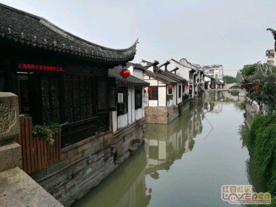 怎么样才知道自己适不适合恋爱？游戏画面